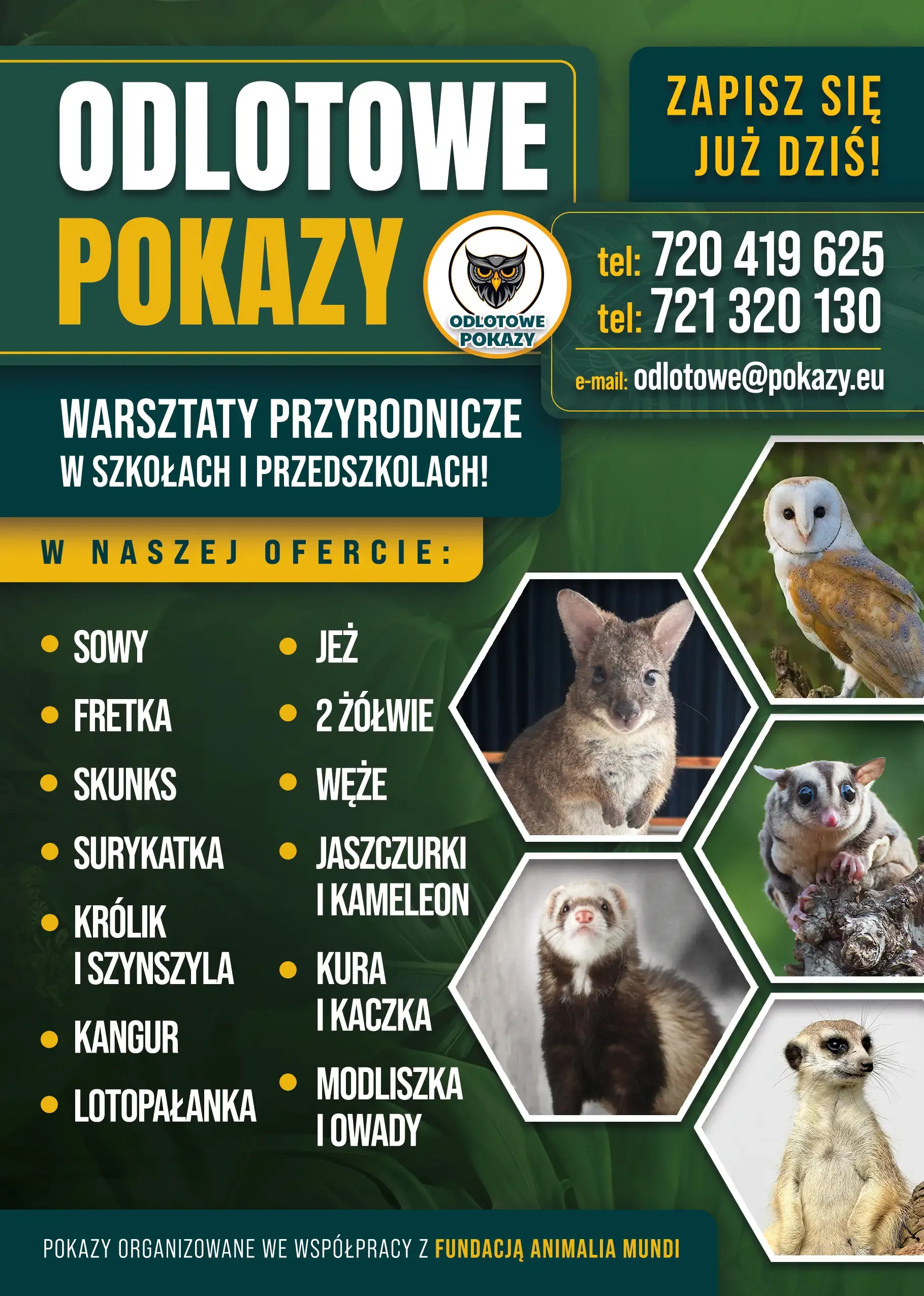 Warsztaty ze zwierzętami