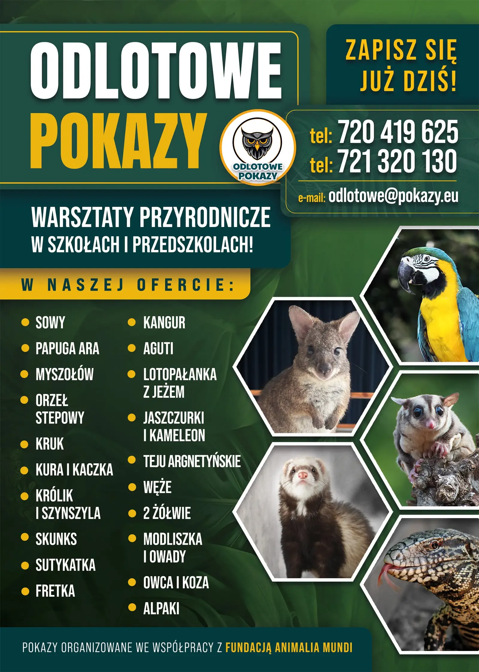 Warsztaty ze zwierzętami